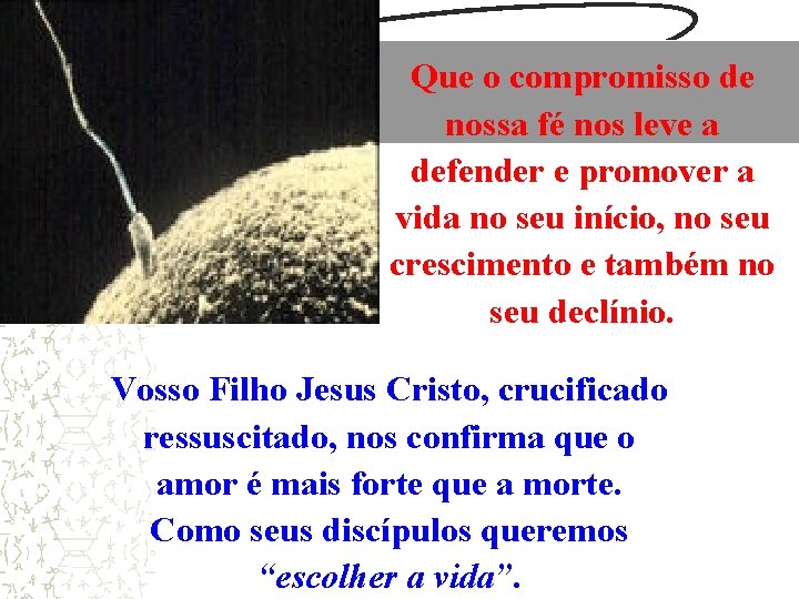 Que o compromisso de nossa fé nos leve a defender e promover a vida Que o compromisso de nossa fé nos leve a defender e promover a vida