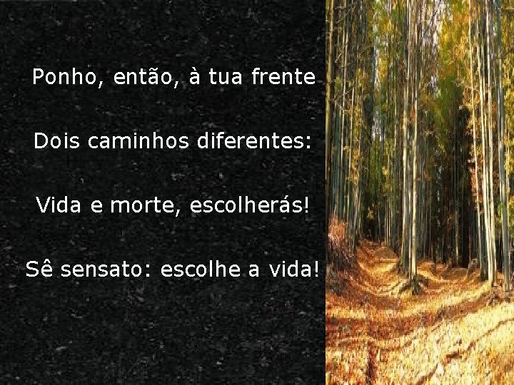 Ponho, então, à tua frente Dois caminhos diferentes: Vida e morte, escolherás! Sê sensato: Ponho, então, à tua frente Dois caminhos diferentes: Vida e morte, escolherás! Sê sensato: