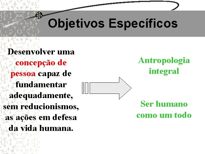 Objetivos Específicos Desenvolver uma concepção de pessoa capaz de fundamentar adequadamente, sem reducionismos, as Objetivos Específicos Desenvolver uma concepção de pessoa capaz de fundamentar adequadamente, sem reducionismos, as