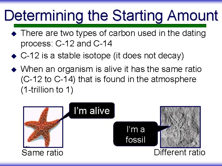 Determining the Starting Amount u u u There are two types of carbon used