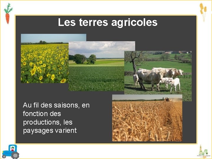 Les terres agricoles Au fil des saisons, en fonction des productions, les paysages varient