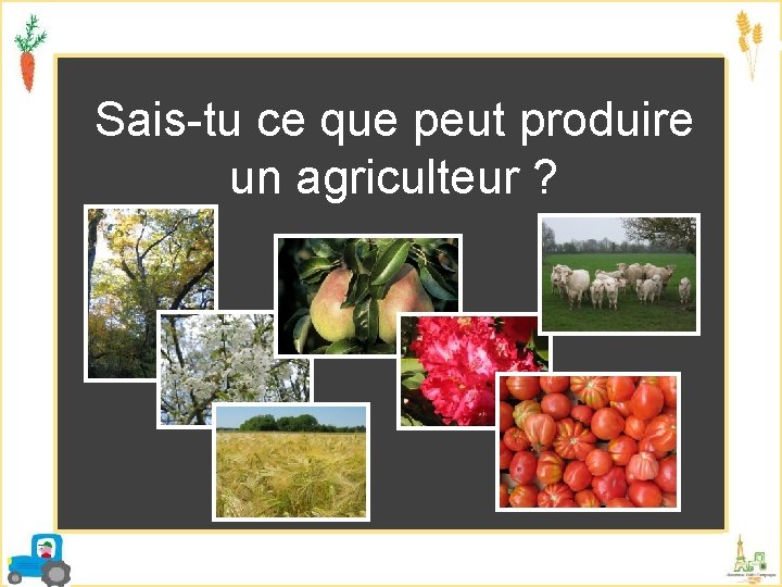 Sais-tu ce que peut produire un agriculteur ? 