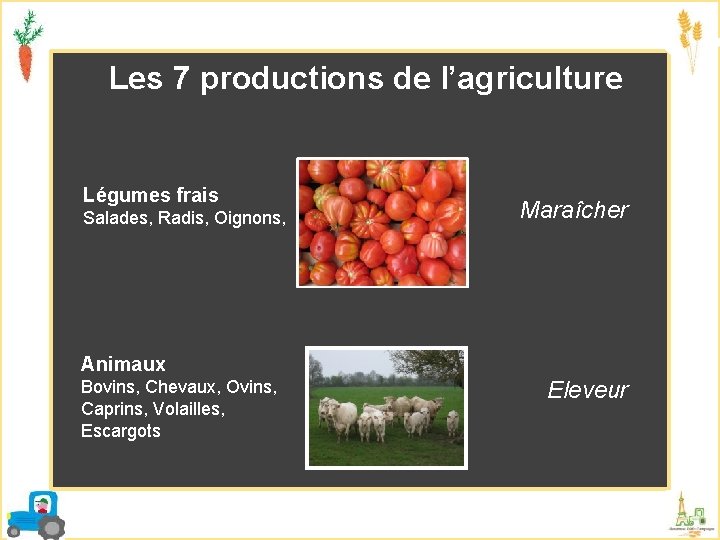 Les 7 productions de l’agriculture Légumes frais Salades, Radis, Oignons, Maraîcher Animaux Bovins, Chevaux,