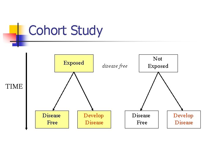 Cohort Study Exposed disease free Not Exposed TIME Disease Free Develop Disease 