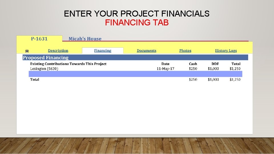 ENTER YOUR PROJECT FINANCIALS FINANCING TAB 