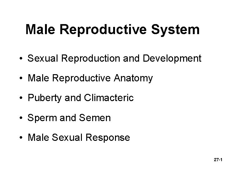Male Reproductive System • Sexual Reproduction and Development • Male Reproductive Anatomy • Puberty