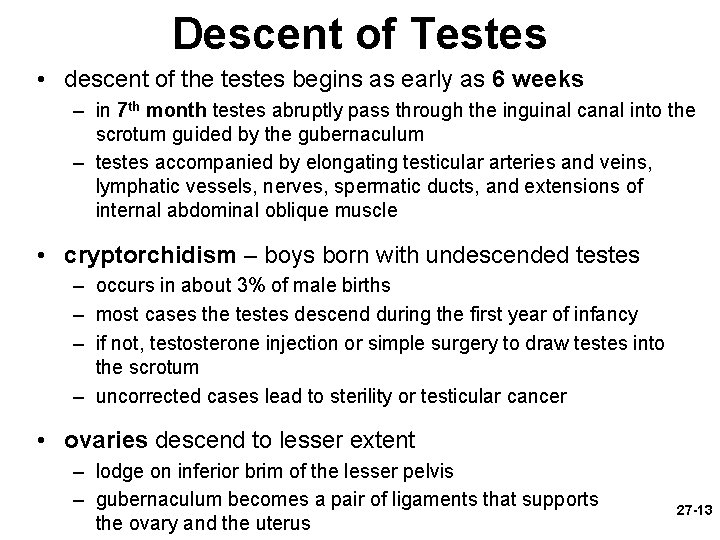 Descent of Testes • descent of the testes begins as early as 6 weeks