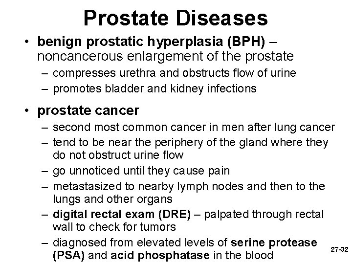Prostate Diseases • benign prostatic hyperplasia (BPH) – noncancerous enlargement of the prostate –