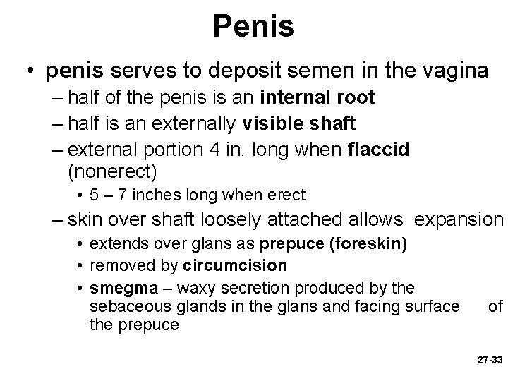 Penis • penis serves to deposit semen in the vagina – half of the
