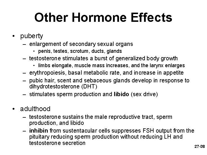 Other Hormone Effects • puberty – enlargement of secondary sexual organs • penis, testes,
