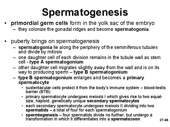 Spermatogenesis • primordial germ cells form in the yolk sac of the embryo –