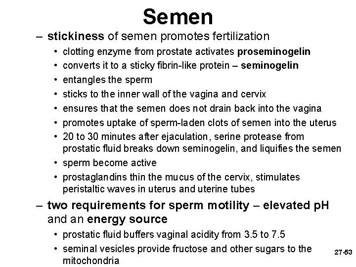 Semen – stickiness of semen promotes fertilization • • clotting enzyme from prostate activates