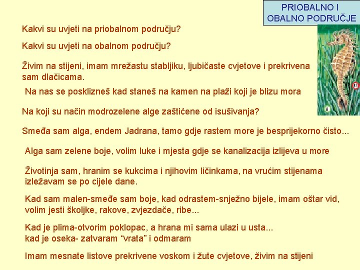 PRIOBALNO I OBALNO PODRUČJE Kakvi su uvjeti na priobalnom području? Kakvi su uvjeti na