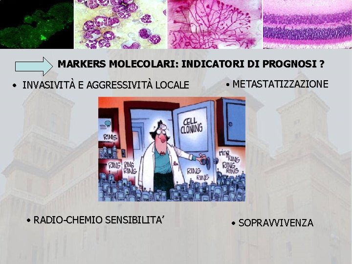 MARKERS MOLECOLARI: INDICATORI DI PROGNOSI ? • INVASIVITÀ E AGGRESSIVITÀ LOCALE • RADIO-CHEMIO SENSIBILITA’