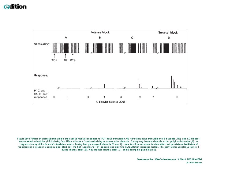 Figure 39 -4 Pattern of electrical stimulation and evoked muscle responses to TOF nerve Figure 39 -4 Pattern of electrical stimulation and evoked muscle responses to TOF nerve