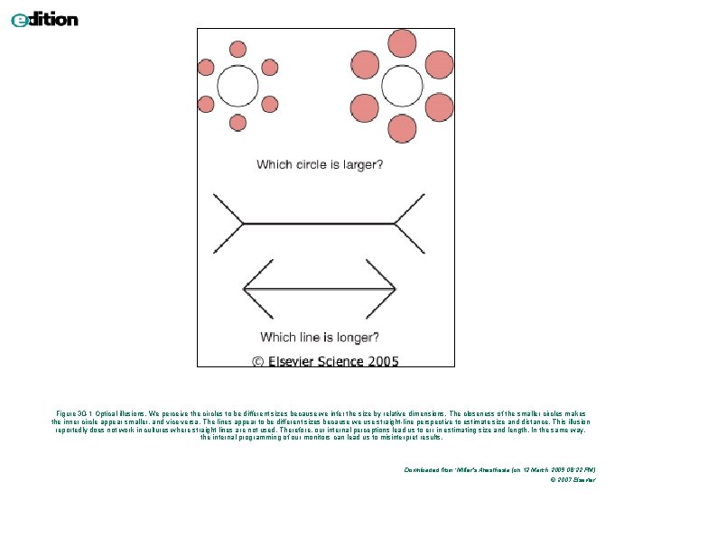 Figure 30 -1 Optical illusions. We perceive the circles to be different sizes because Figure 30 -1 Optical illusions. We perceive the circles to be different sizes because