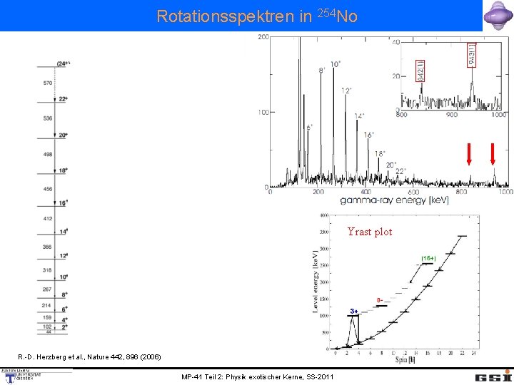 Rotationsspektren in 254 No Yrast plot R. -D. Herzberg et al. , Nature 442,