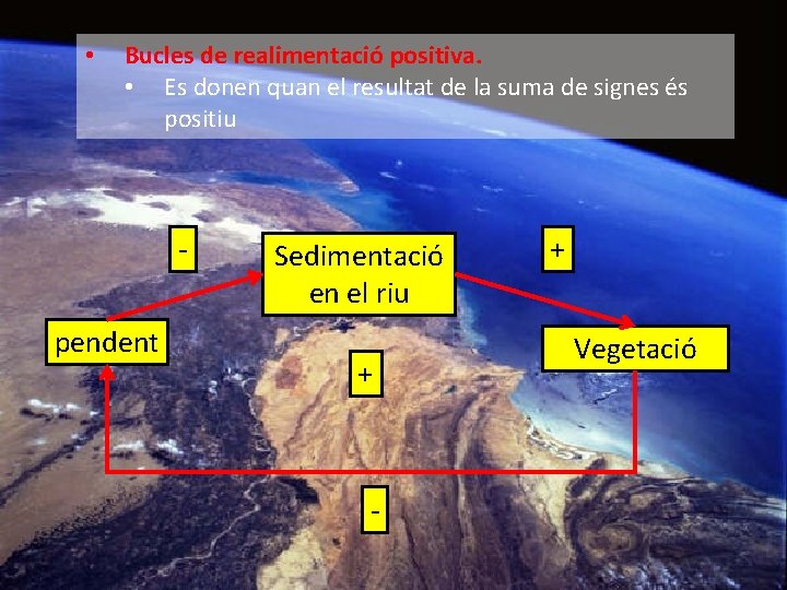  • Bucles de realimentació positiva. • Es donen quan el resultat de la