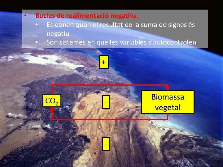  • Bucles de realimentació negativa. • Es donen quan el resultat de la