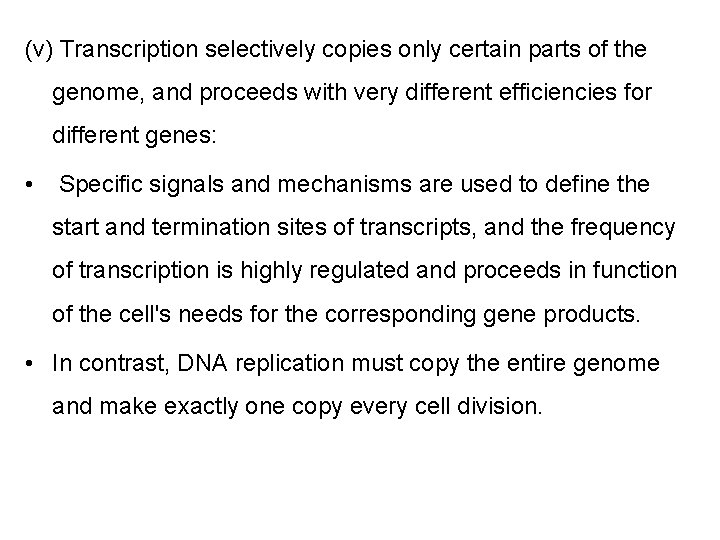 (v) Transcription selectively copies only certain parts of the genome, and proceeds with very
