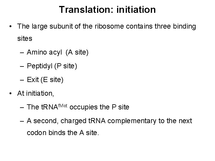 Translation: initiation • The large subunit of the ribosome contains three binding sites –