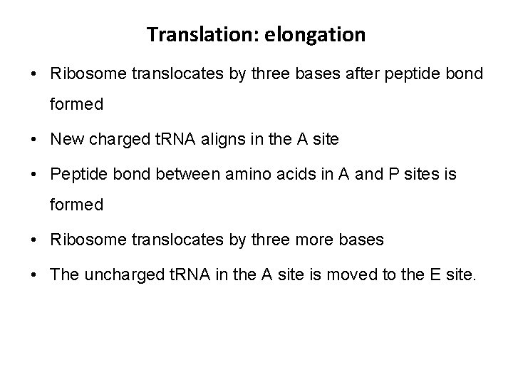 Translation: elongation • Ribosome translocates by three bases after peptide bond formed • New