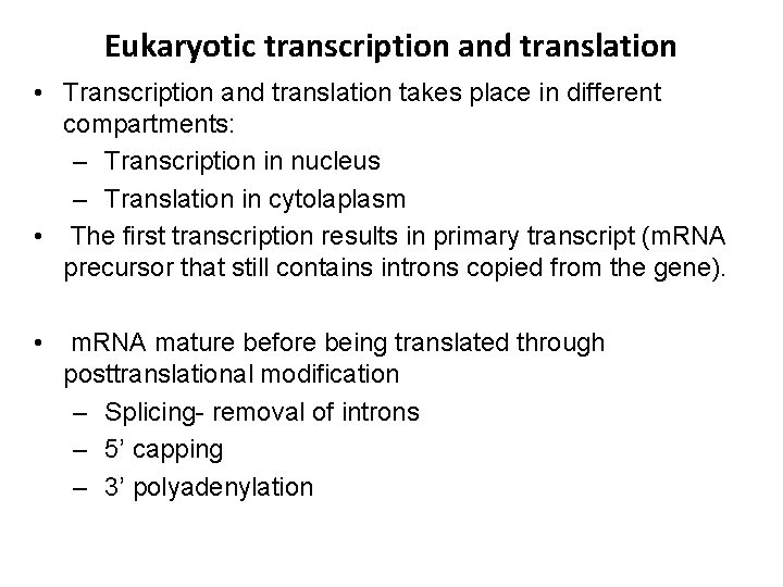 Eukaryotic transcription and translation • Transcription and translation takes place in different compartments: –