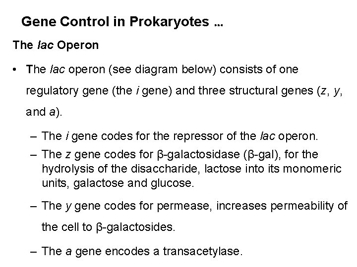 Gene Control in Prokaryotes … The lac Operon • The lac operon (see diagram