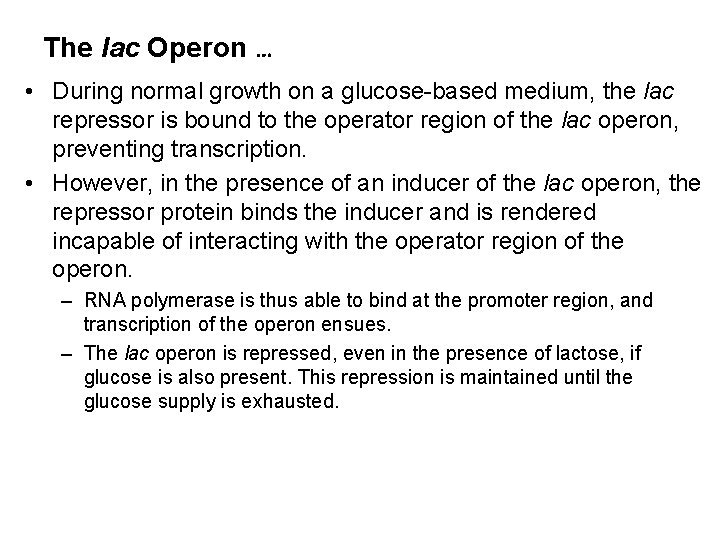 The lac Operon … • During normal growth on a glucose-based medium, the lac