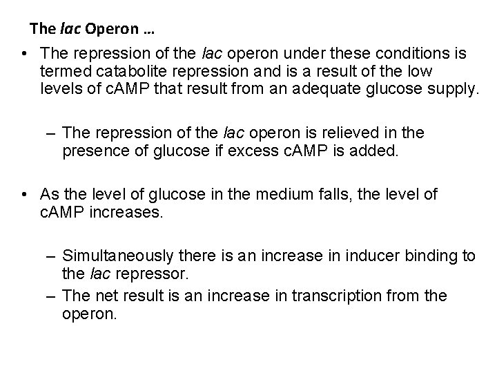 The lac Operon … • The repression of the lac operon under these conditions