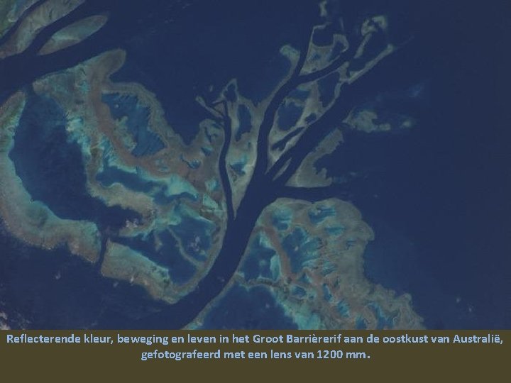 Reflecterende kleur, beweging en leven in het Groot Barrièrerif aan de oostkust van Australië,