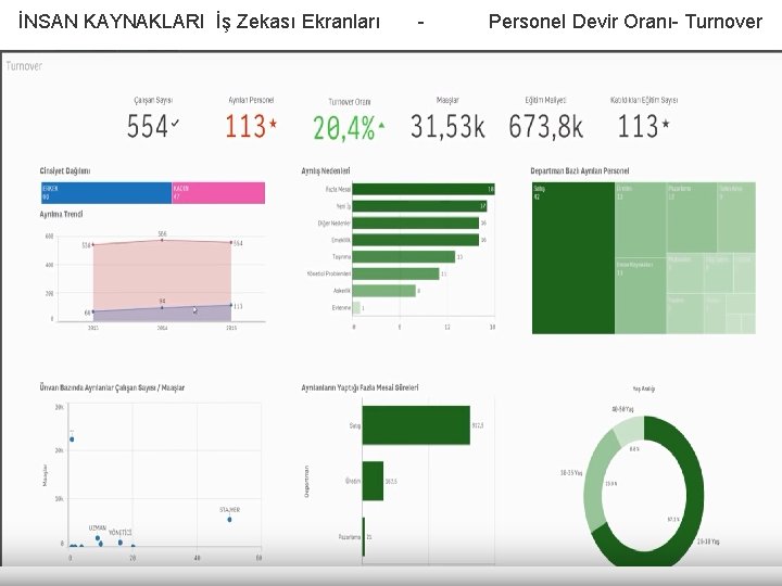 İNSAN KAYNAKLARI İş Zekası Ekranları - Personel Devir Oranı- Turnover İNSAN KAYNAKLARI İş Zekası Ekranları - Personel Devir Oranı- Turnover