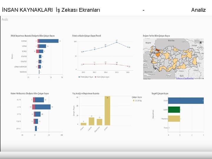 İNSAN KAYNAKLARI İş Zekası Ekranları - Analiz İNSAN KAYNAKLARI İş Zekası Ekranları - Analiz