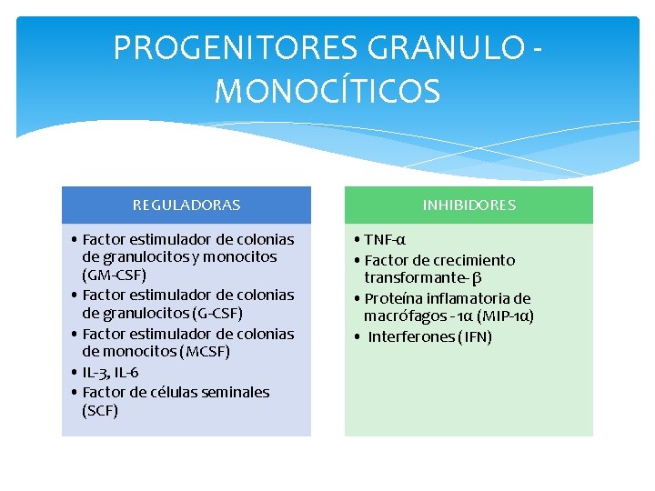 PROGENITORES GRANULO MONOCÍTICOS REGULADORAS • Factor estimulador de colonias de granulocitos y monocitos (GM-CSF)