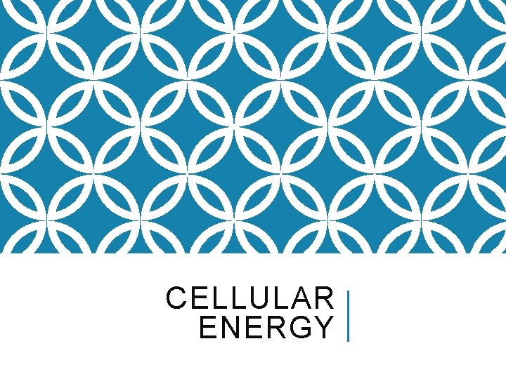 CELLULAR ENERGY 