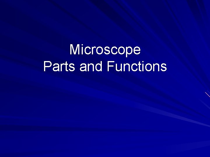 Microscope Parts and Functions 