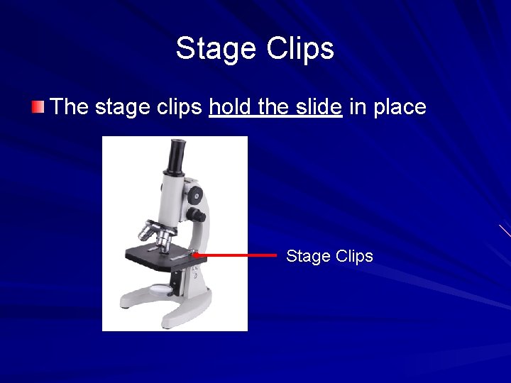 Stage Clips The stage clips hold the slide in place Stage Clips 