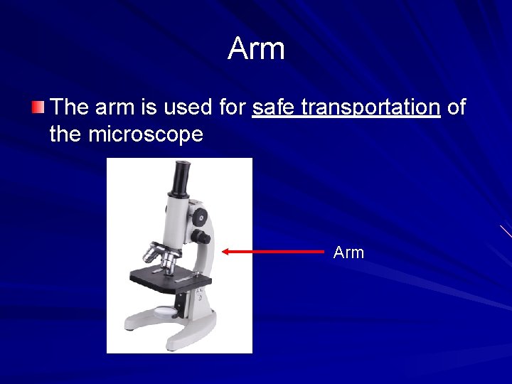 Arm The arm is used for safe transportation of the microscope Arm 