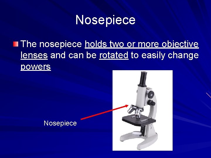 Nosepiece The nosepiece holds two or more objective lenses and can be rotated to