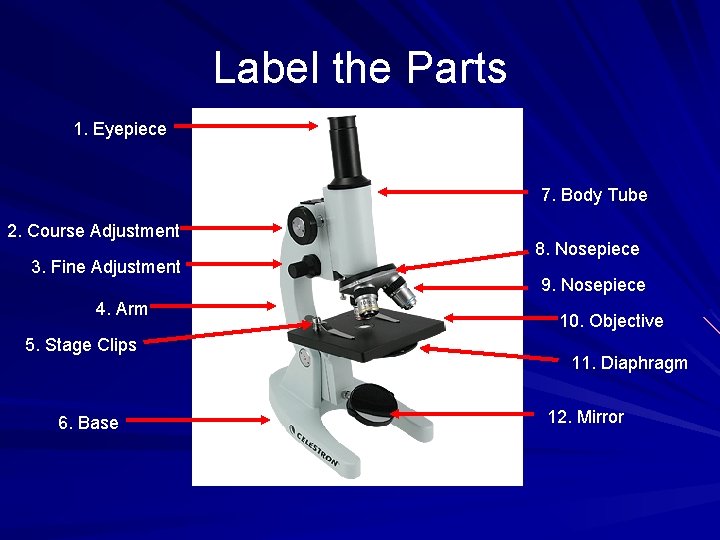 Label the Parts 1. Eyepiece 7. Body Tube 2. Course Adjustment 3. Fine Adjustment