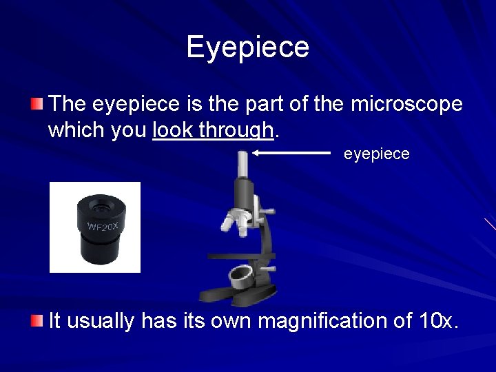 Eyepiece The eyepiece is the part of the microscope which you look through. eyepiece