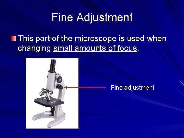 Fine Adjustment This part of the microscope is used when changing small amounts of