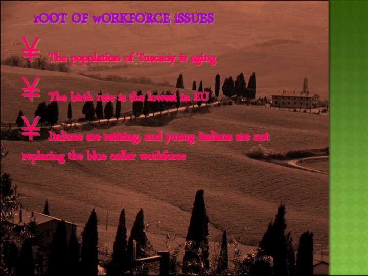 r. OOT OF w. ORKFORCE i. SSUES ¥ The population of Tuscany is aging