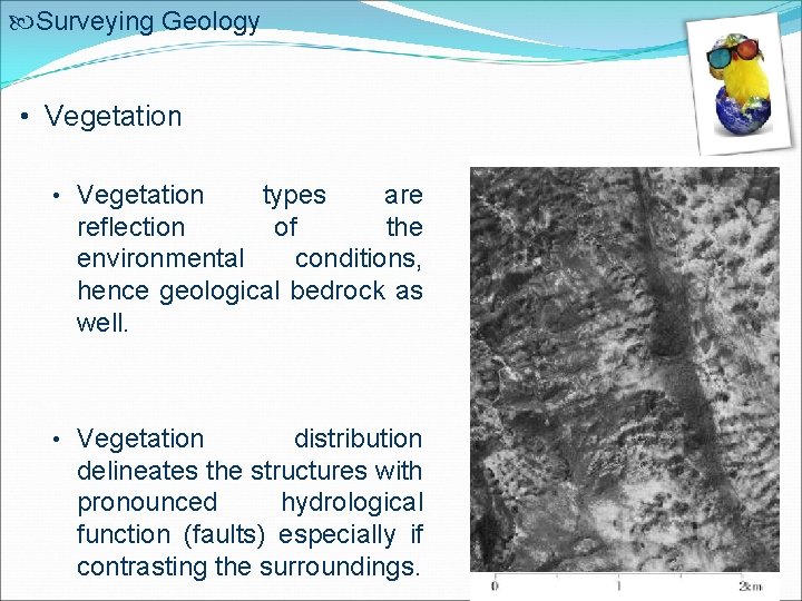  Surveying Geology • Vegetation types are reflection of the environmental conditions, hence geological
