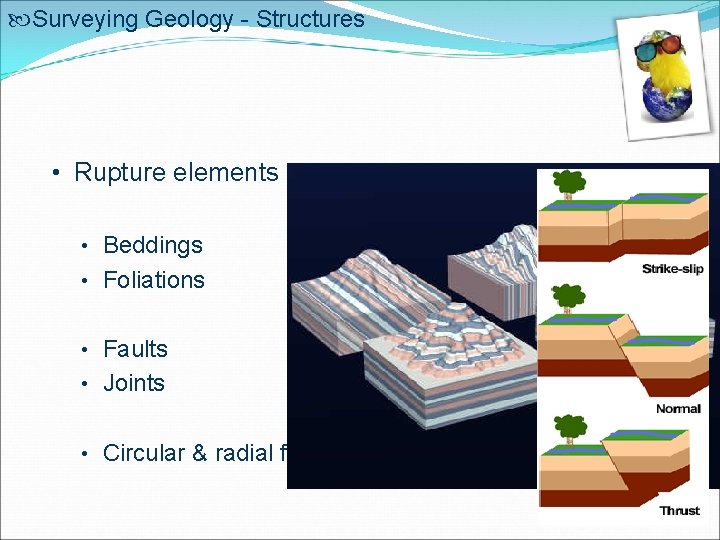  Surveying Geology - Structures • Rupture elements • Beddings • Foliations • Faults