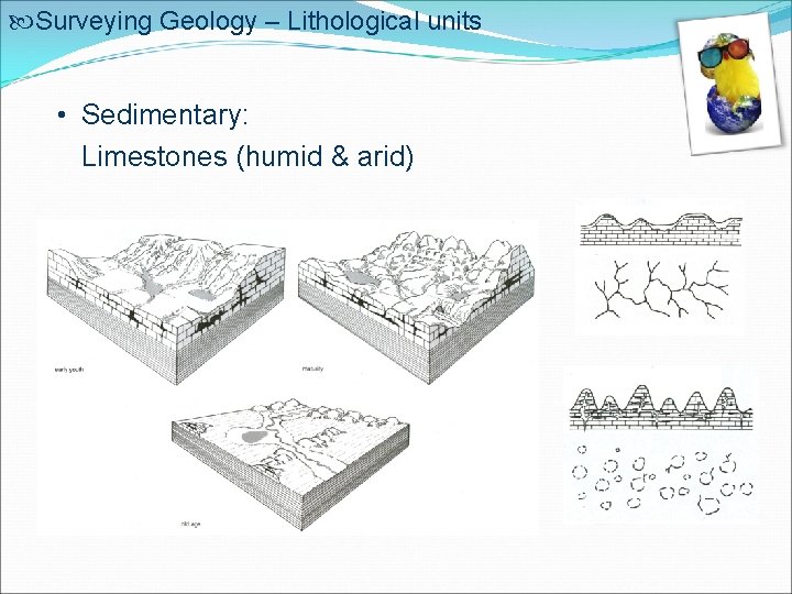  Surveying Geology – Lithological units • Sedimentary: Limestones (humid & arid) 