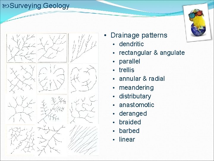  Surveying Geology • Drainage patterns • dendritic • rectangular & angulate • parallel
