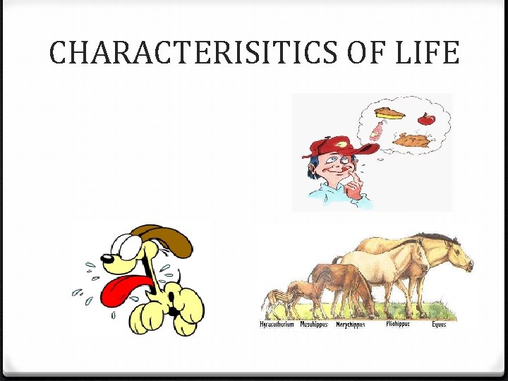 CHARACTERISITICS OF LIFE CHARACTERISITICS OF LIFE