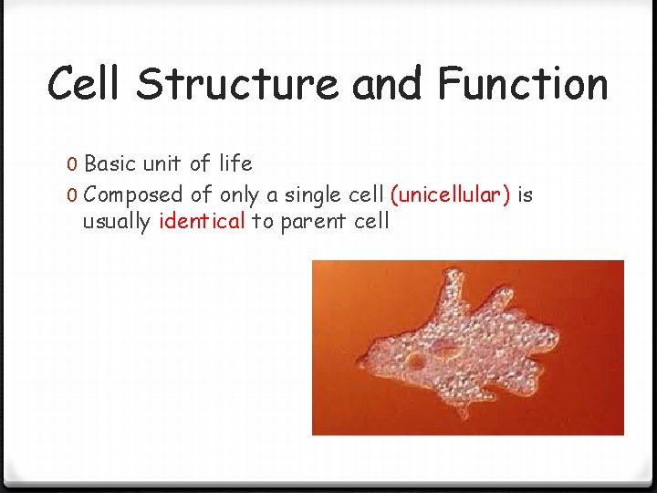 Cell Structure and Function 0 Basic unit of life 0 Composed of only a Cell Structure and Function 0 Basic unit of life 0 Composed of only a