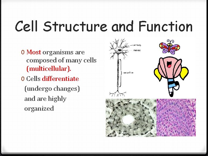 Cell Structure and Function 0 Most organisms are composed of many cells (multicellular). 0 Cell Structure and Function 0 Most organisms are composed of many cells (multicellular). 0